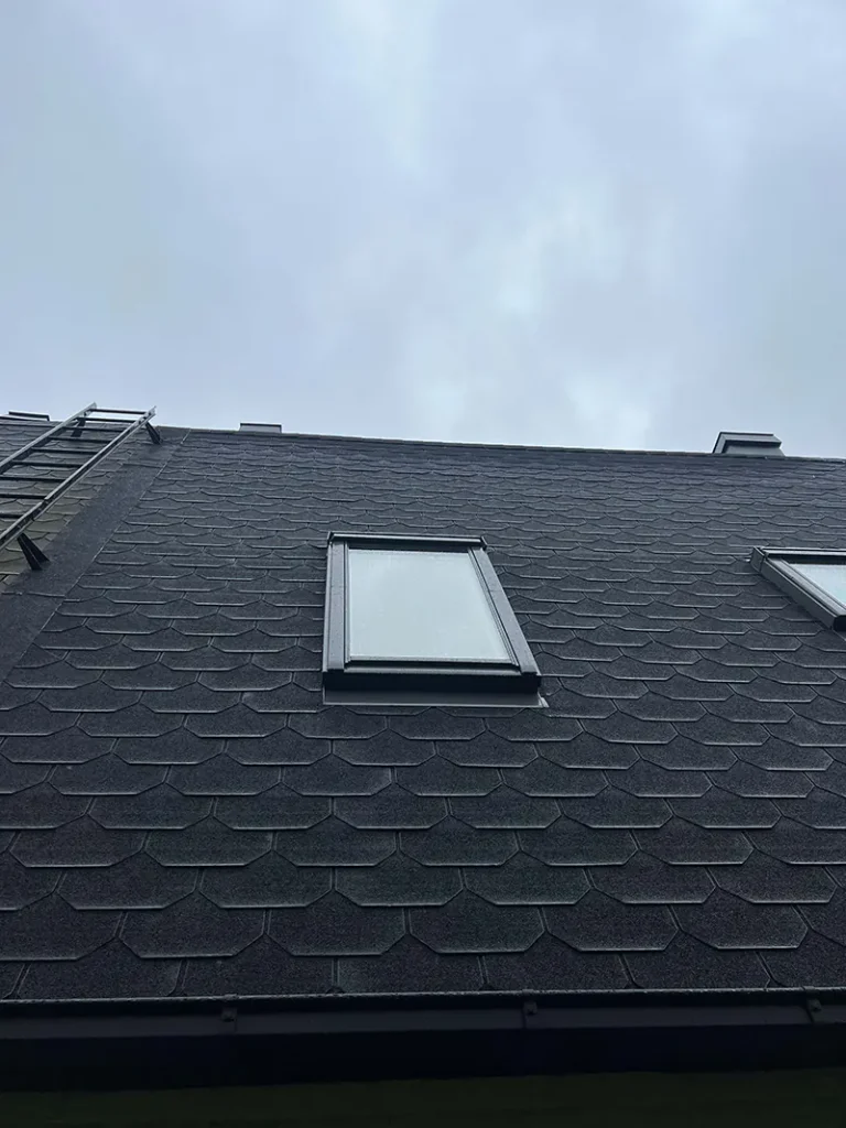 Shingeltak Elineberg