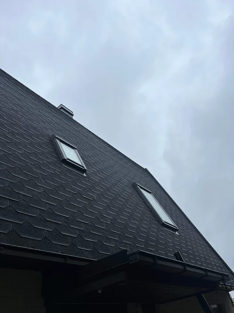Shingeltak Elineberg