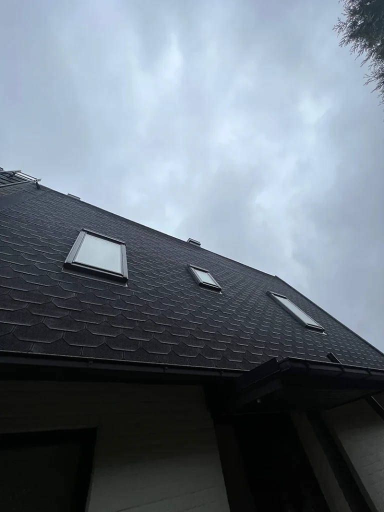 Shingeltak Elineberg